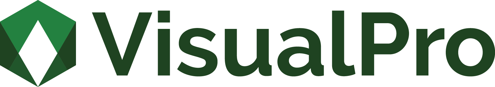 VisualPro logo